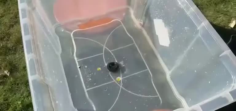 El mito de Coriolis